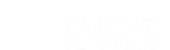 Exclusive Networks