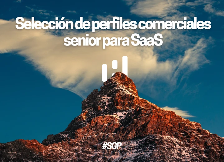 Selection of Senior Business Profiles for SaaS