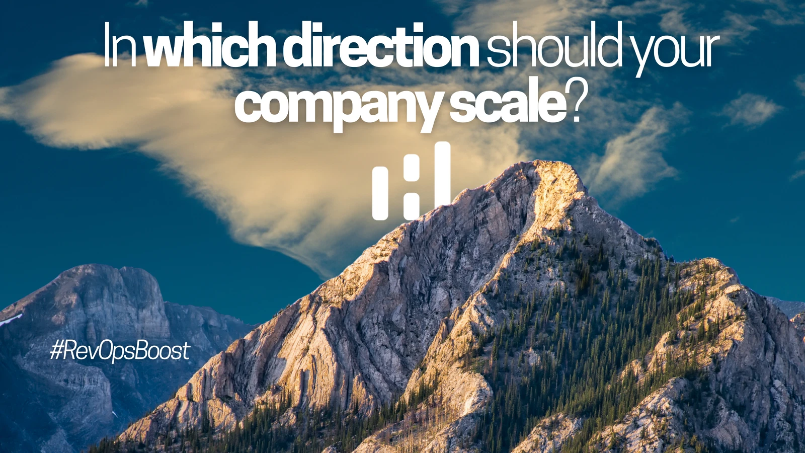 Vertical and horizontal growth in sales: In which direction should your company scale?